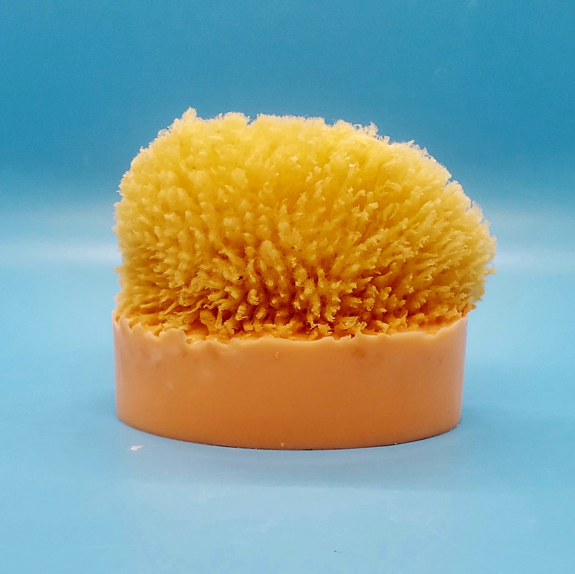 Florida Sunset Natural Sea Sponge Soap – Allini Natural Bath and Body