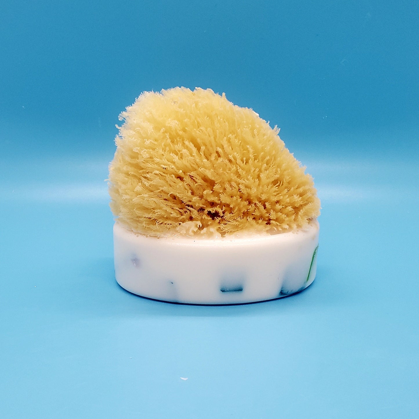 "Sea Glass" Natural Sea  Sponge Soap