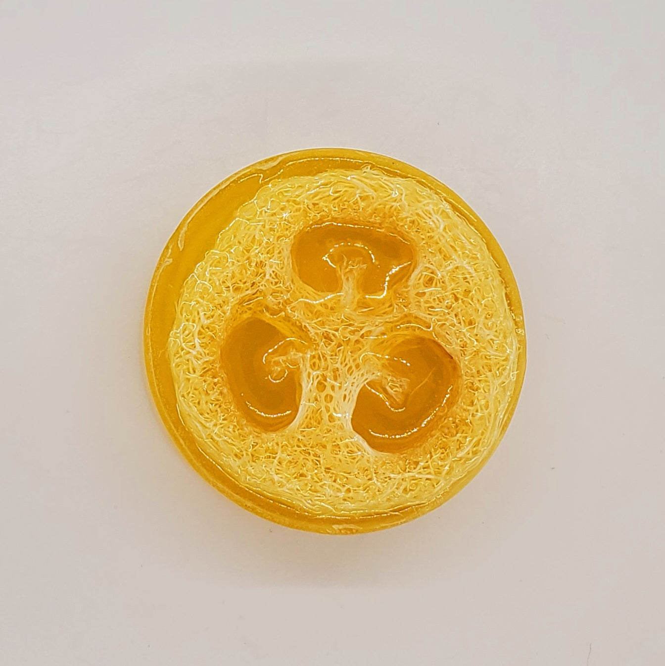 "Pineapple Coconut" Exfoliating Loofah Soap